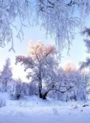 Вдохновение зимой