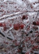 Вдохновение зимой