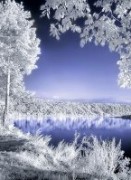 Вдохновение зимой