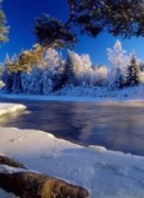 Вдохновение зимой