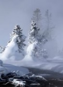 Вдохновение зимой