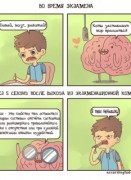 Прикольные русские комиксы (25 комиксов)