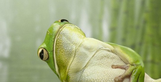11 прикольных креативных работ